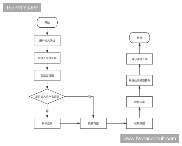 最新开云平台登录操作流程全面解析及注意事项